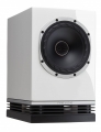 Bild 4 von Fyne Audio F-500S