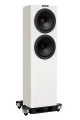 Bild 3 von Fyne Audio F-703 SP
